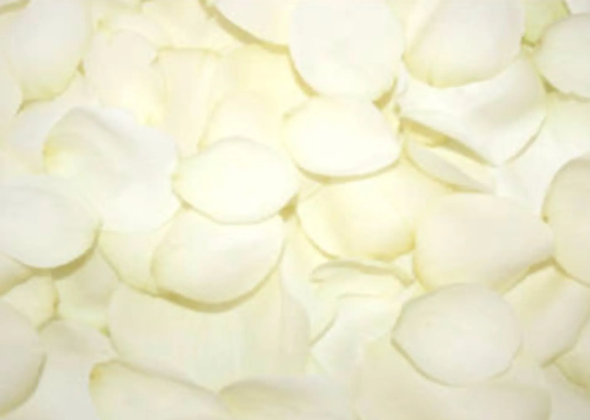 Petal Scatter