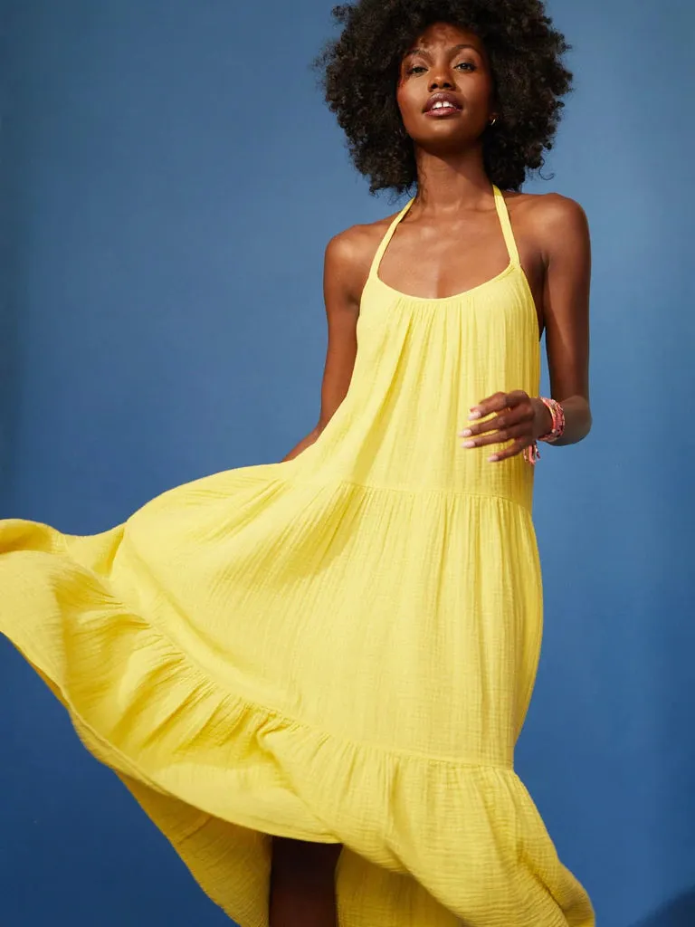 Xirena - Reagen Dress in Limon